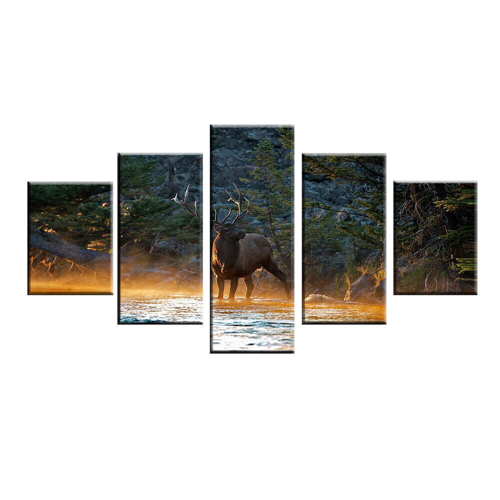 5 Pieces Animal Deer In Forest Stream Elk Sunset Landscape Paintings HD Prints