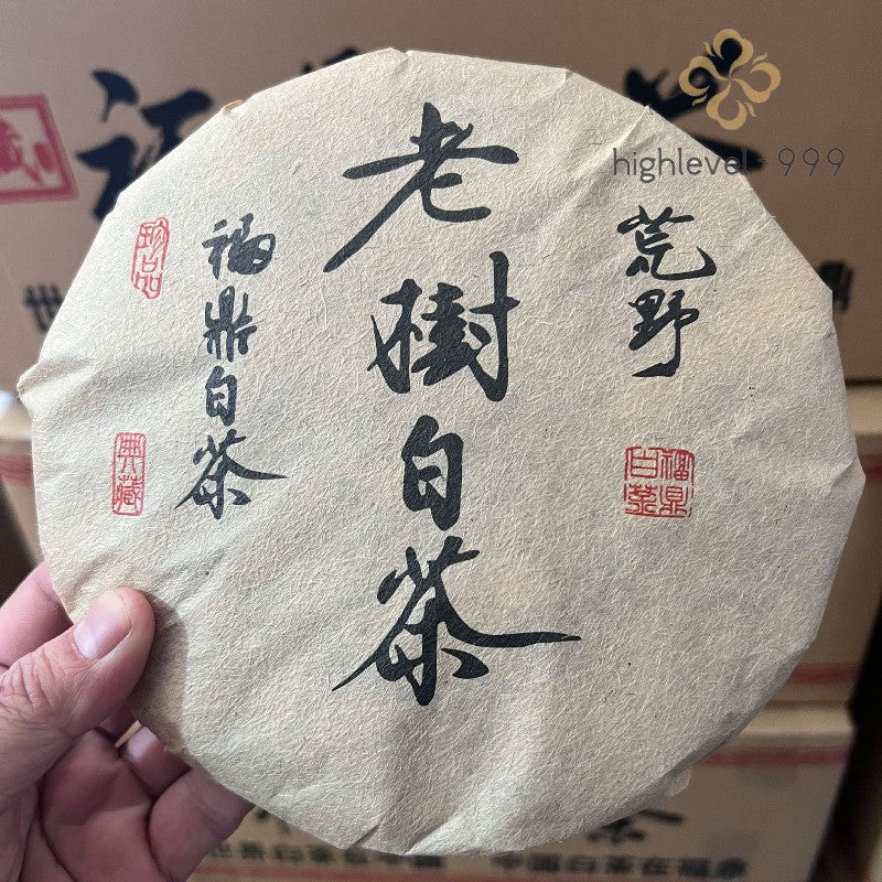 350g White Tea Cake Fuding 2010 High Mountain Shoumei Jujube Aroma White Tea