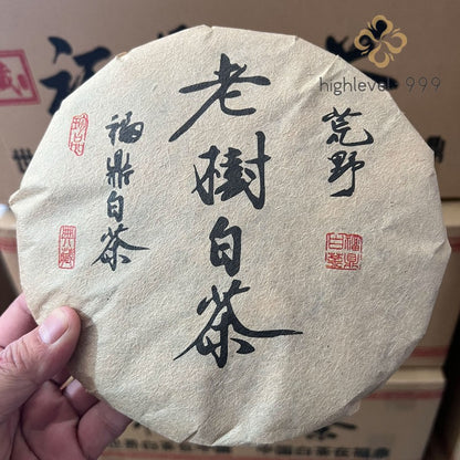350g White Tea Cake Fuding 2010 High Mountain Shoumei Jujube Aroma White Tea