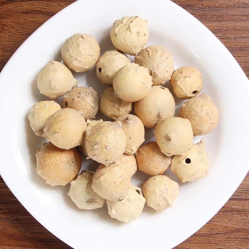 Recommend Dried Aleppo Gall Premium Quercus Infectoria Oliv.