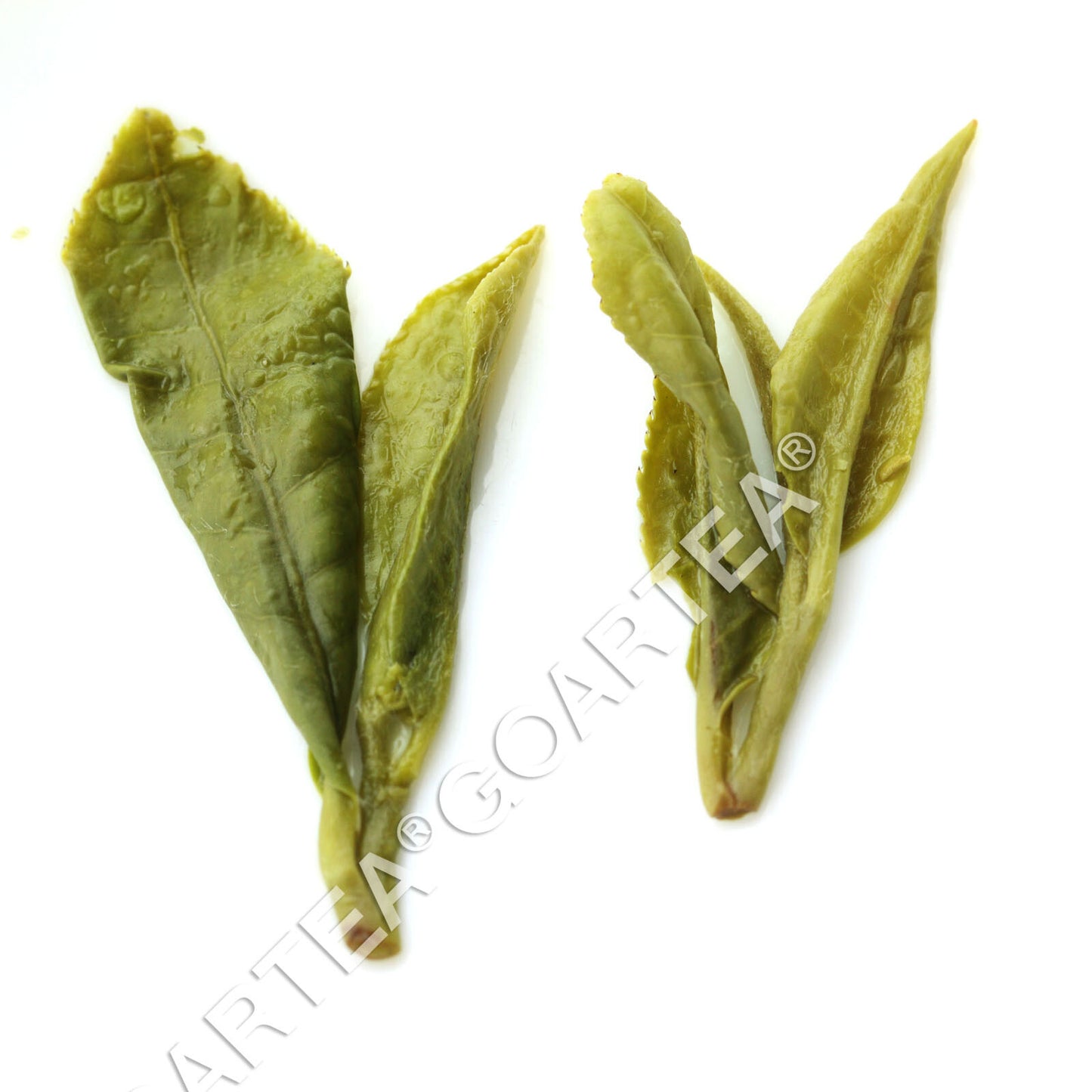 GOARTEA 100g Top Xihu Longjing Dragon Well Spring Green Tea Long Jing Green Tea-