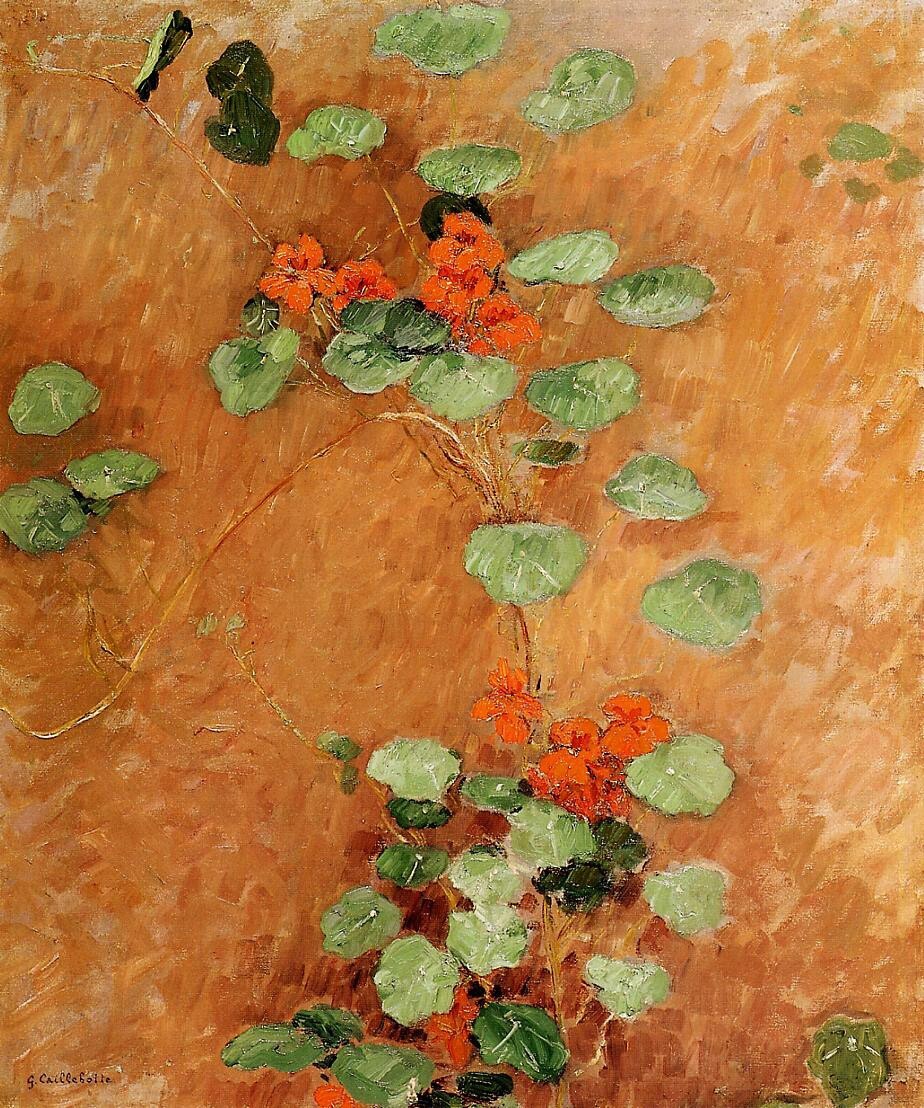 Dream-art Oil painting Nasturtiums-1892-Gustave-Caillebotte-Oil-Painting canvas