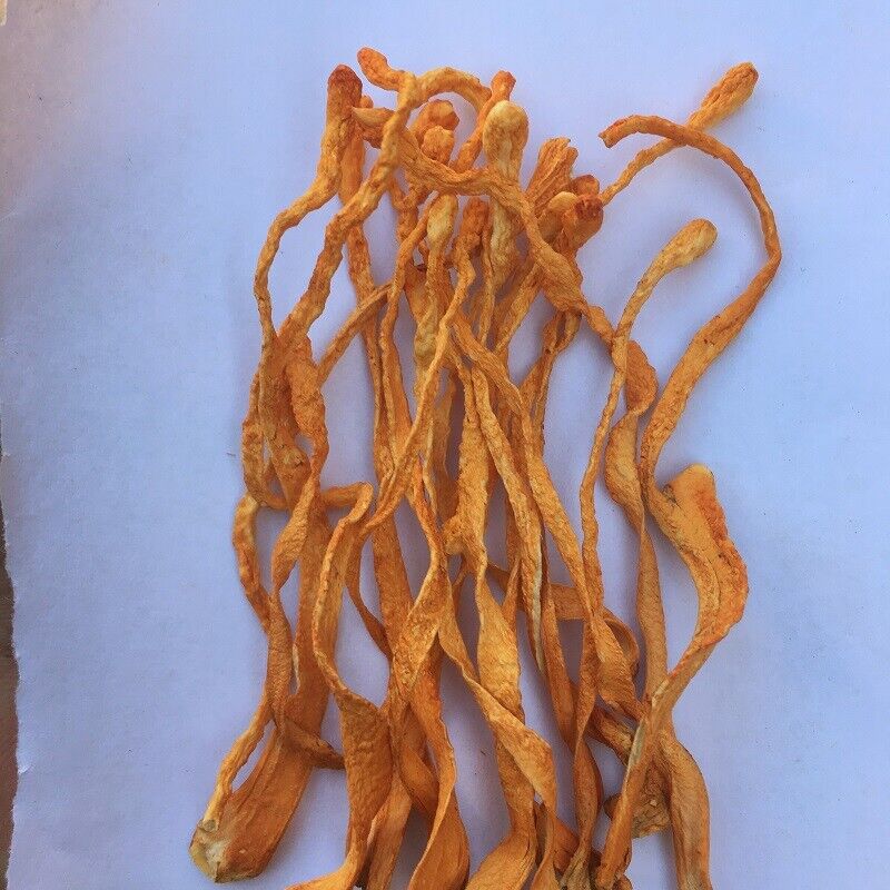 North Cordyceps/nourish kidney/moisten lung Herbs Health Care New