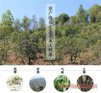 100g Yunnan Highly Recommended Canned Puer Tea Chinese Organic Ripe Puerh Tea