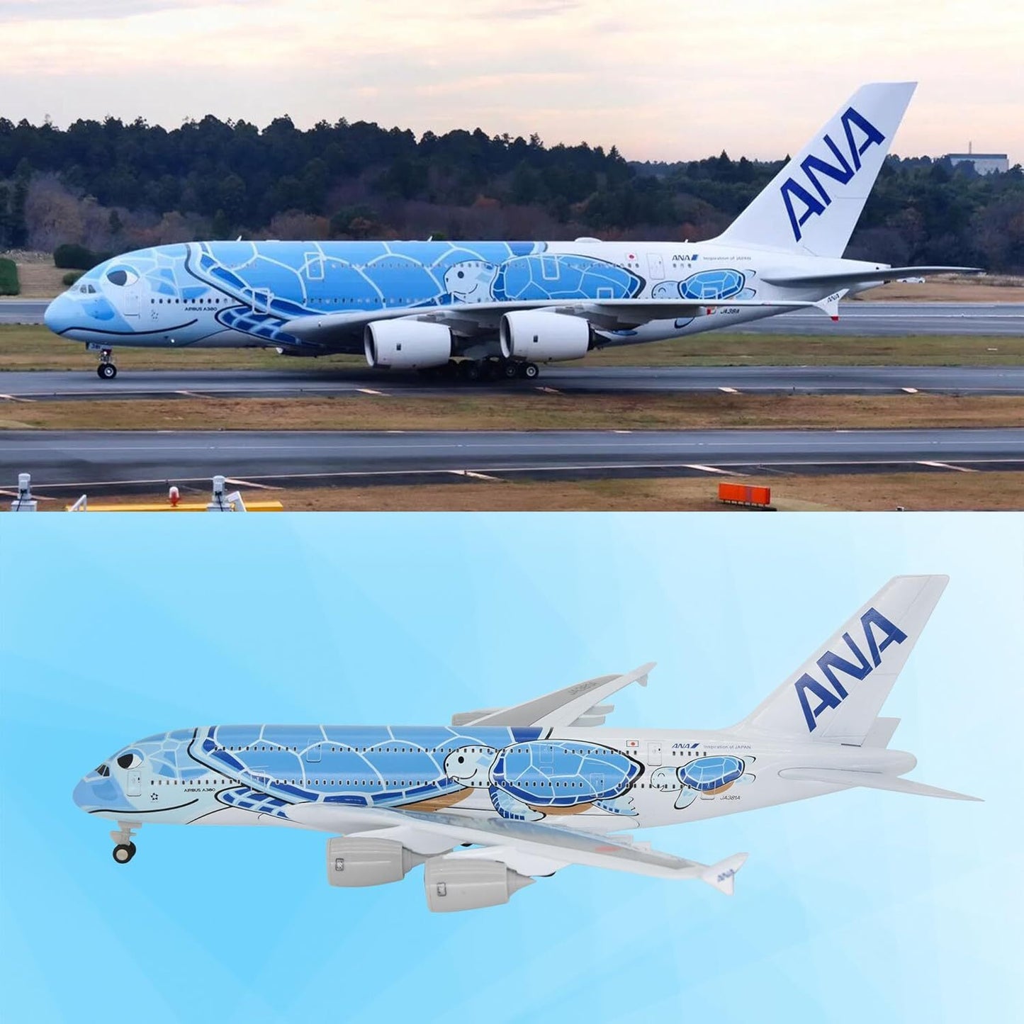 1:255 11.4inch Airbus A380 ANA Sea Turtle Metal Airplane Model Plane Toy Blue