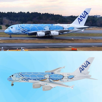 1:255 11.4inch Airbus A380 ANA Sea Turtle Metal Airplane Model Plane Toy Blue