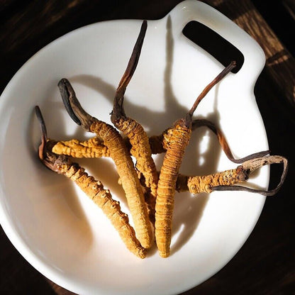 Wild Tibetan Aweto Chinese Caterpillar Fungus Cordyceps Sinensis 10 pieces 5g