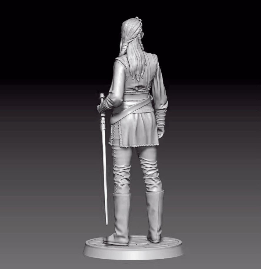 1/24 resin figure model 3D printing of Viking female warriors unassembled