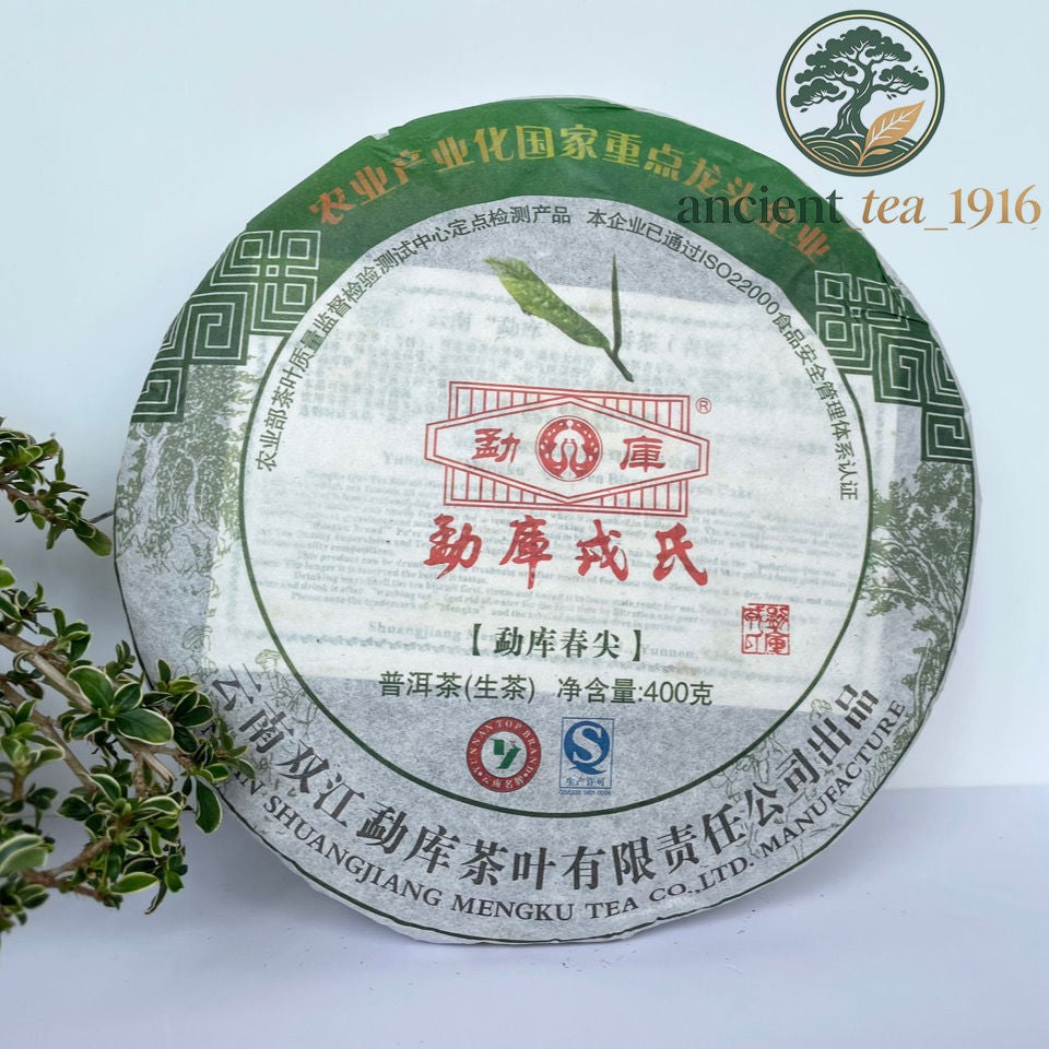 400g Mengku Rongshi 2012 Yr Shen Puer Spring Tips Raw Pu-erh Tea Cake
