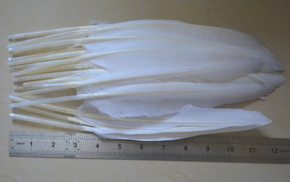 50x Natural White Goose Primary Wing Feather Arrow Making Party Costume Decor