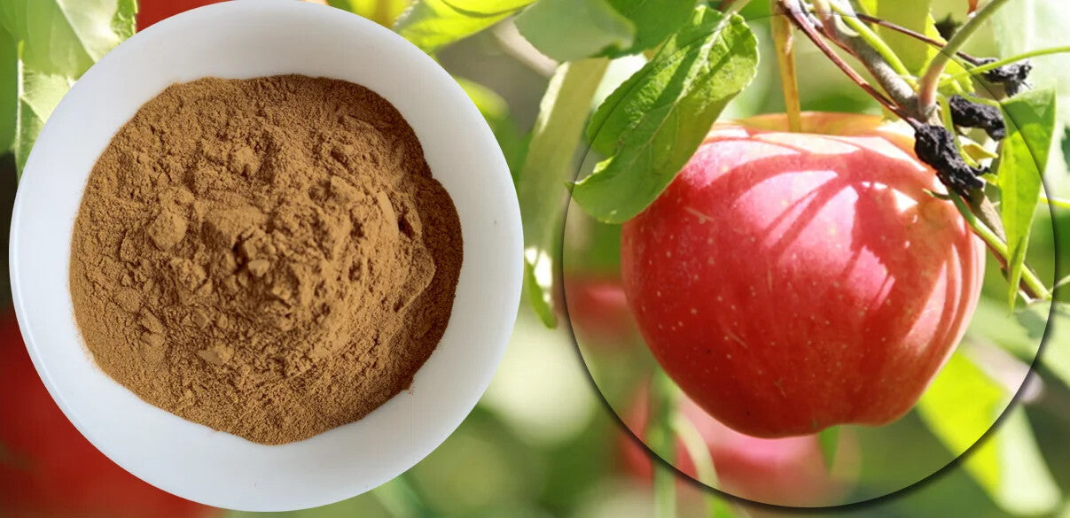 HelloYoung Apple Peel Extract 250g Organic Polyphenol Powder Dietary Supplement