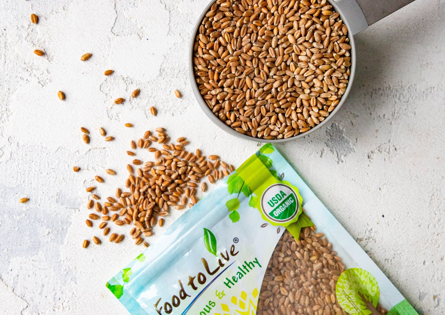 Organic Wheat Berries - （ Non-GMO, Sproutable,Kosher, Raw - by HELLOYOUNG）