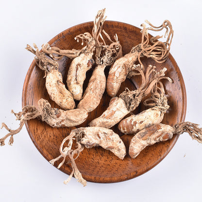 Golden cicada flower selection cordyceps