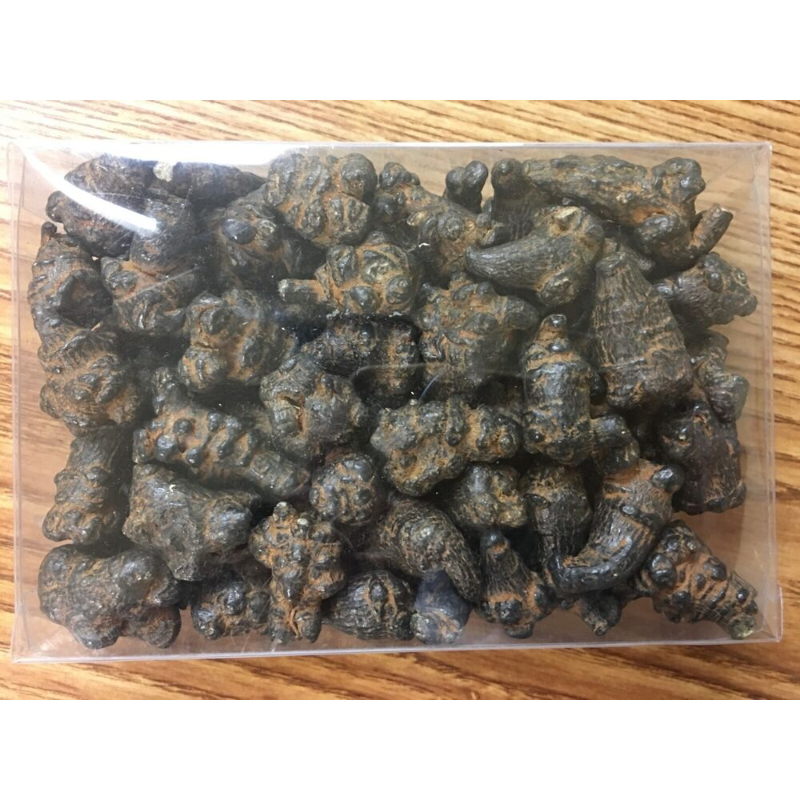 good quality and price 500g Black Radix Pseudoginseng 黑田七頭