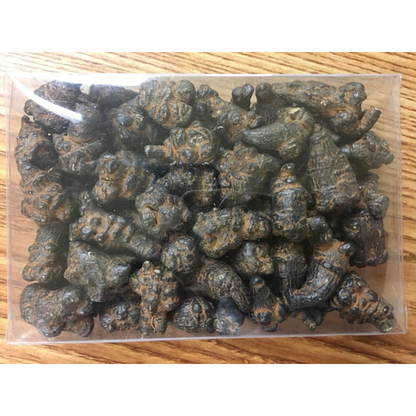 good quality and price 500g Black Radix Pseudoginseng 黑田七頭