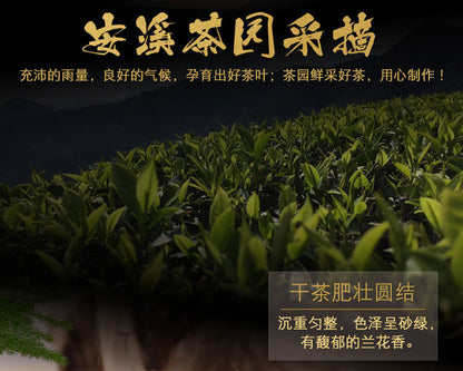 Tie Guan Yin Tea Oolong Tea Gift Box Fujian High Mountain Oolong Tea 250g/Box