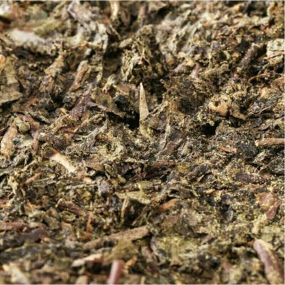 300g Special Made Yiyang Anhua Black Tea Hei Cha Fu Tea Brick Hunan Fu Tea Fucha