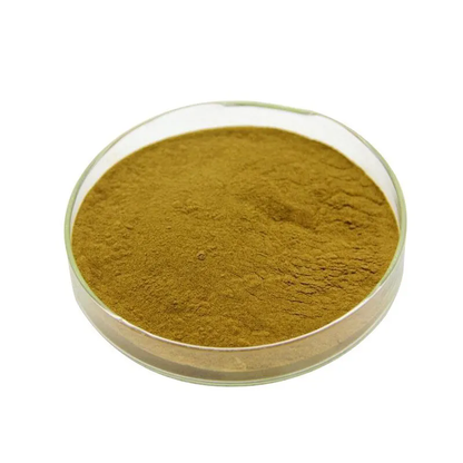 100g~500g Goldenseal Extract Powder 30:1 Pure & High Quality
