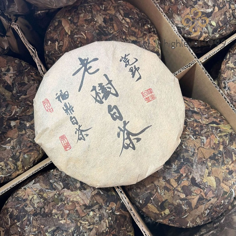 350g White Tea Cake Fuding 2010 High Mountain Shoumei Jujube Aroma White Tea