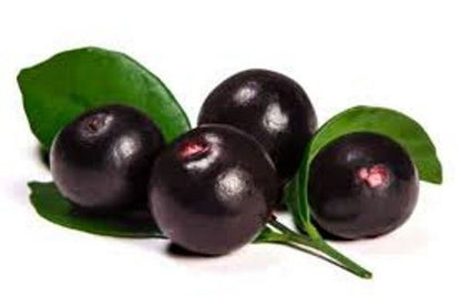 ACAI Assai freeze dried powder 4oz 8oz 16oz 1lb 32oz 2lb 4lb 10lb 55lb - PAJE