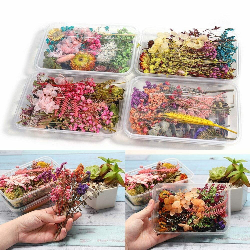 1 Box Random Real Dried Flower Resin Mold Fillings Jewelry Making Craft Supplies