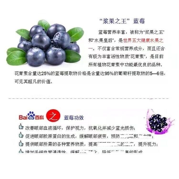 Blueberry powder Vitamin C and AntiOxidants Paradise Herbs Powder 100g~500g