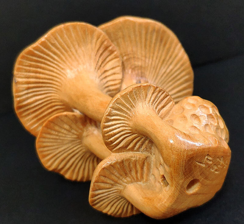 Chinese wood Hand Carved Boxwood Netsuke - Beautiful Mushroom hand piece gift