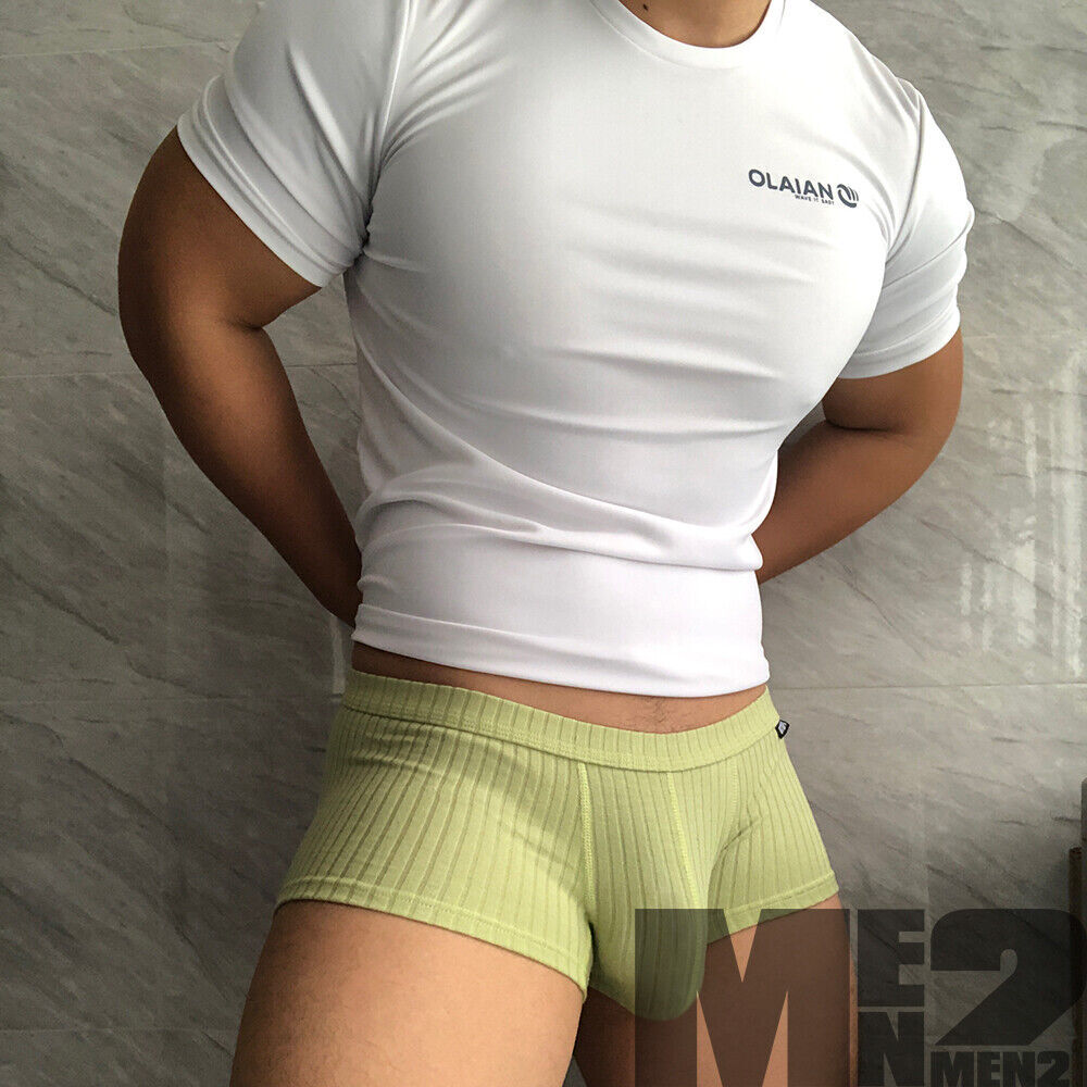 Sexy Men's Underwear Low Waist Briefs U Pouch Striped Shorts Underpants