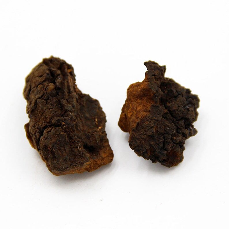 500g Inonotus Obliquus,Chaga Mushroom, Wild Bai Hua Rong Birch Tree Fungs