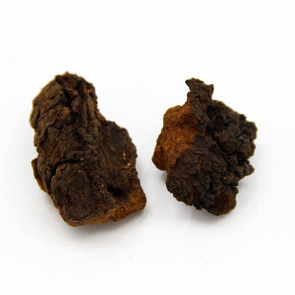 500g Inonotus Obliquus,Chaga Mushroom, Wild Bai Hua Rong Birch Tree Fungs