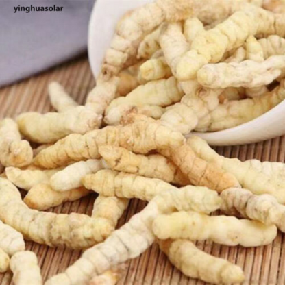250g Dried Herb 100% Natural Stachys Affinis Sieboldii Chinese Artichoke 草石蚕