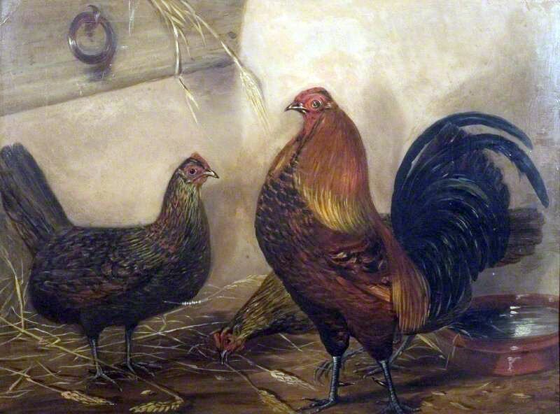 Art Oil painting John-Vine-Cock-and-Two-Hens nice animals in landscape art