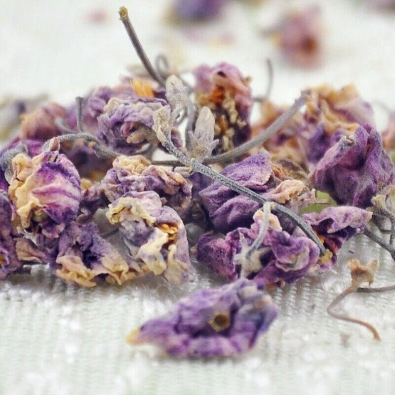 Flowers Tea Apocynum Venetum Herb Tea Luo Bu Ma Rafuma Apocynum Venetum