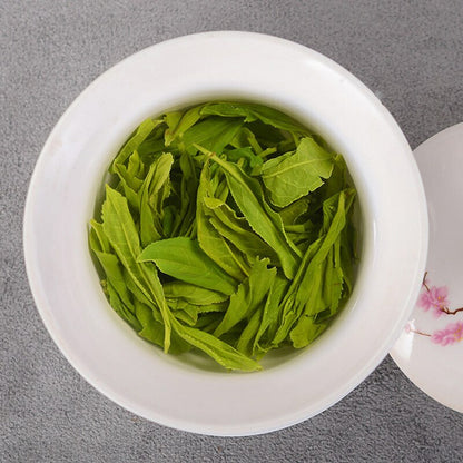 Organic Maojian High Mountain Green Tea Loose Leaf 500g Iron Can Gift Set