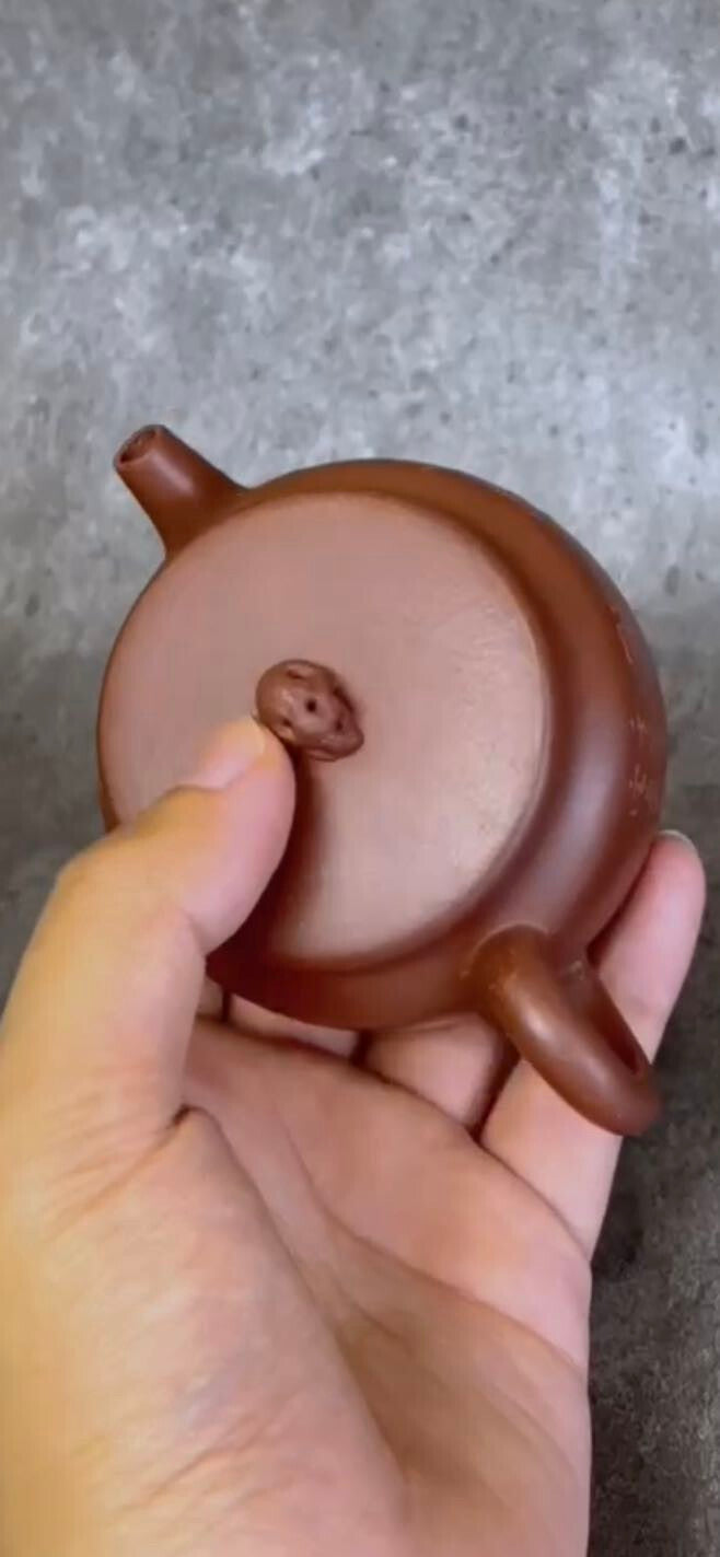 140cc chinese Yixing Handmade Zisha Purple clay Teapot HuShi Hu Tea Pot
