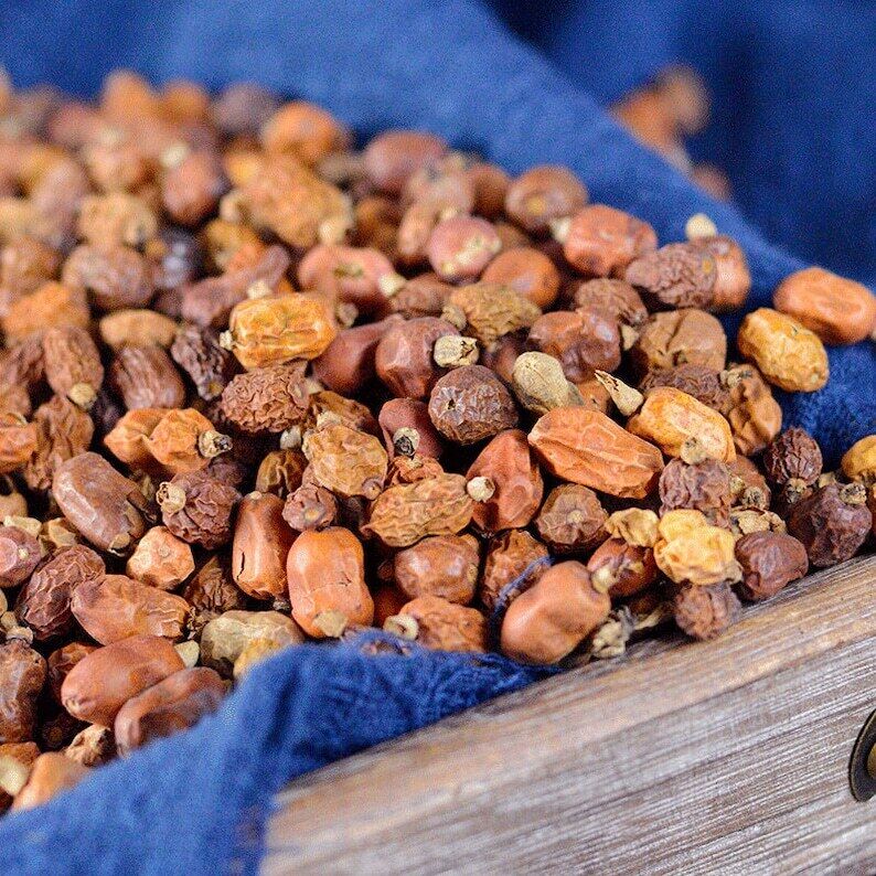 Natural Galanga Galangal Seed Dried Fructus Galangae Great Quality