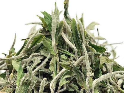 White Peony Tea,Potherb Teas,dried White Peony Tea, Chinese White Peony Teas
