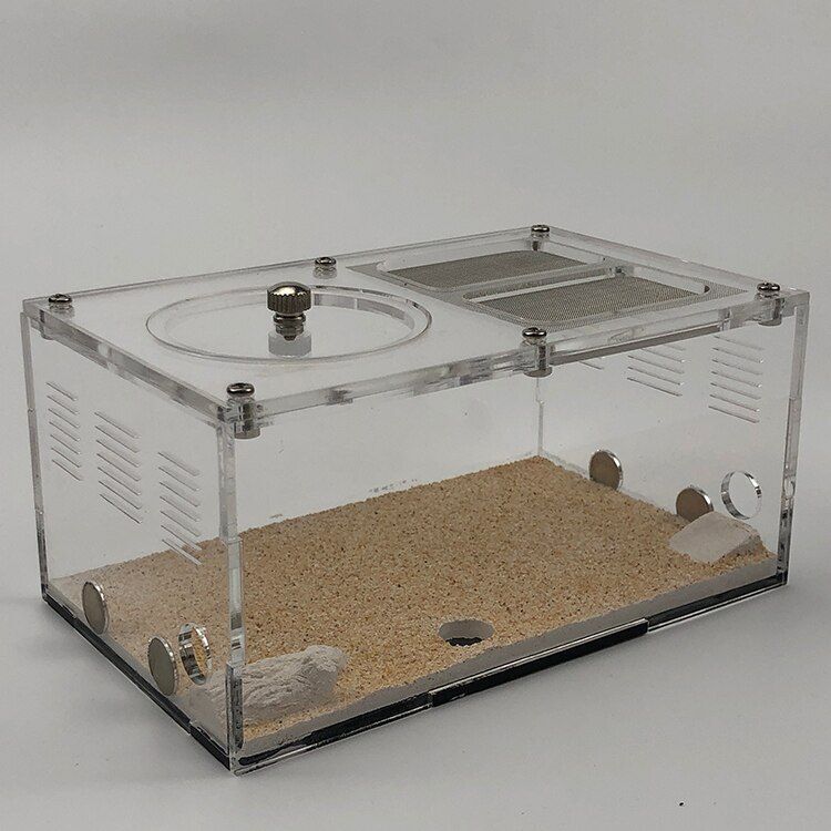 Insect House Ant Farm Colony Formicarium Auto Heating 15x10x13.5cm Concrete Sand