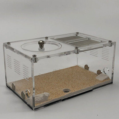 Insect House Ant Farm Colony Formicarium Auto Heating 15x10x13.5cm Concrete Sand