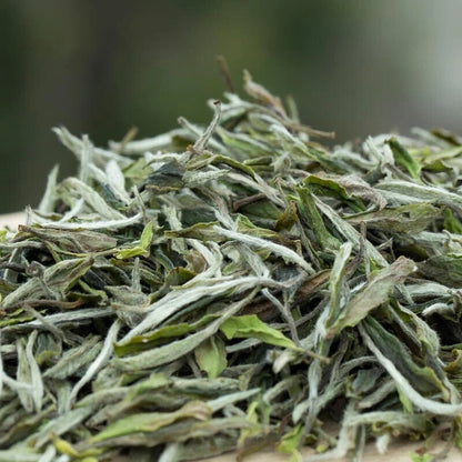 250g FuDing High Mountain Bai Mu Dan White Tea Aged White Peony Pai Mu Tan tea