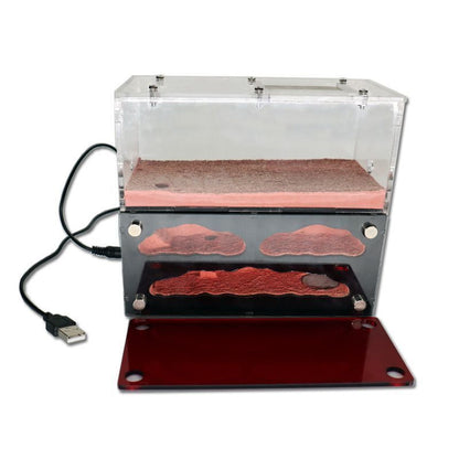 Ant Farm With Independent Lights Control Ecological Insect Anthill Nest Workshop