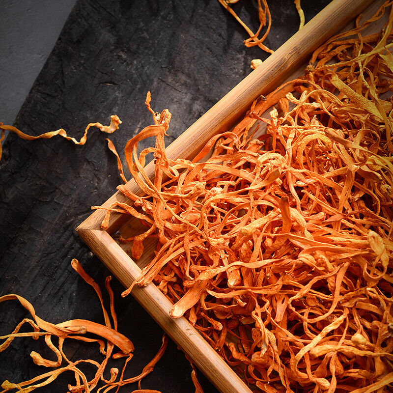 Cordyceps Militaris/Chong Cao Hua 虫草花 /North Herbal Cordyceps Flower