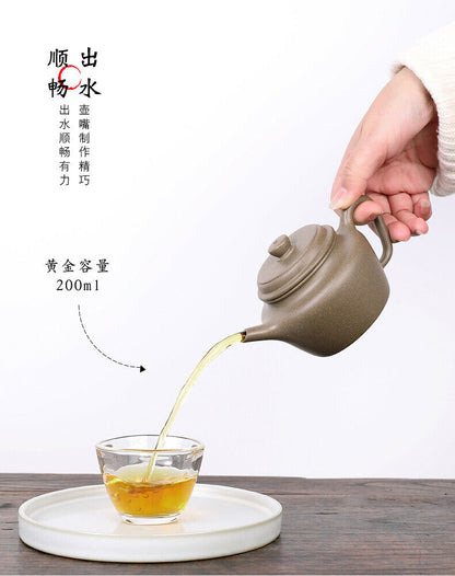 200cc chinese Yixing Handmade Zisha teapot Duan clay DeZhong Hu Gongfu Tea Pot