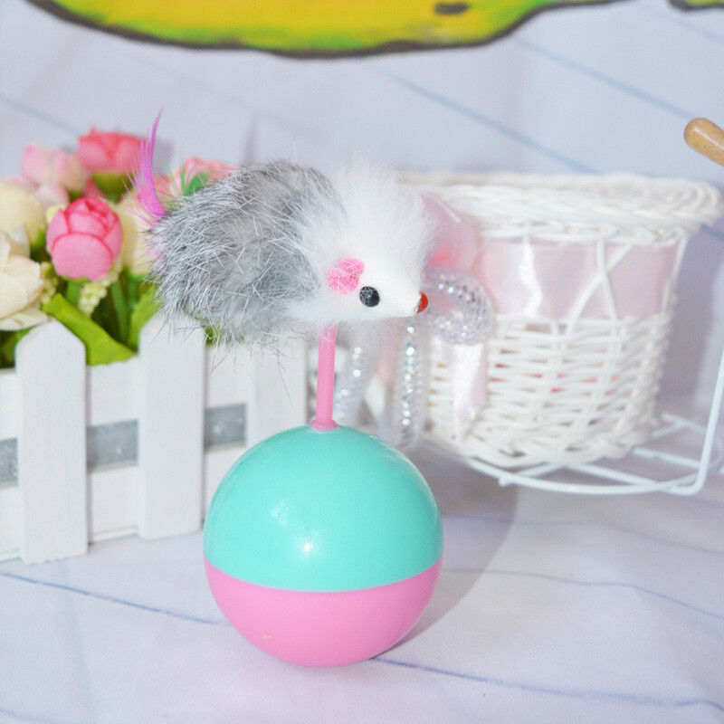 Cat Toy Teaser Ball Interactive Plastic Funny Mouse Tumbler Dog Training Kitten