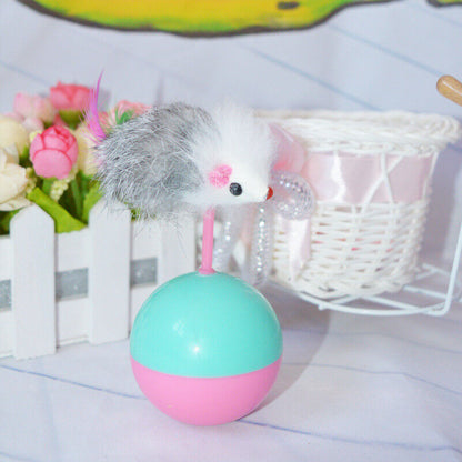 Cat Toy Teaser Ball Interactive Plastic Funny Mouse Tumbler Dog Training Kitten