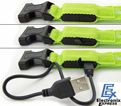 Green Light-Up LED Adjustable Pet Collar - Flashing or Steady Modes
