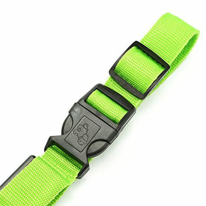 Green Light-Up LED Adjustable Pet Collar - Flashing or Steady Modes