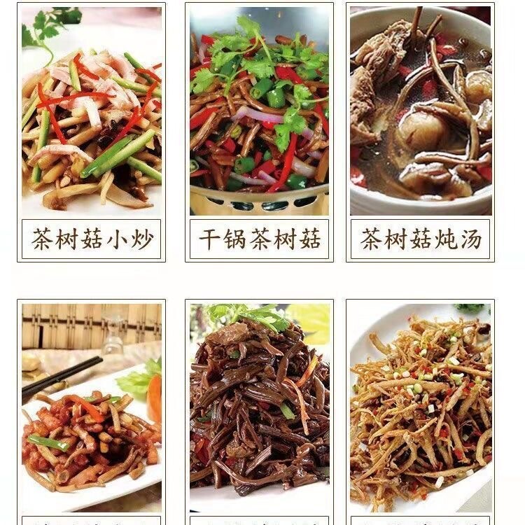 Natural Tea Tree Mushrooms agrocybe cylindracea Dried Mushrooms Kitchen Food