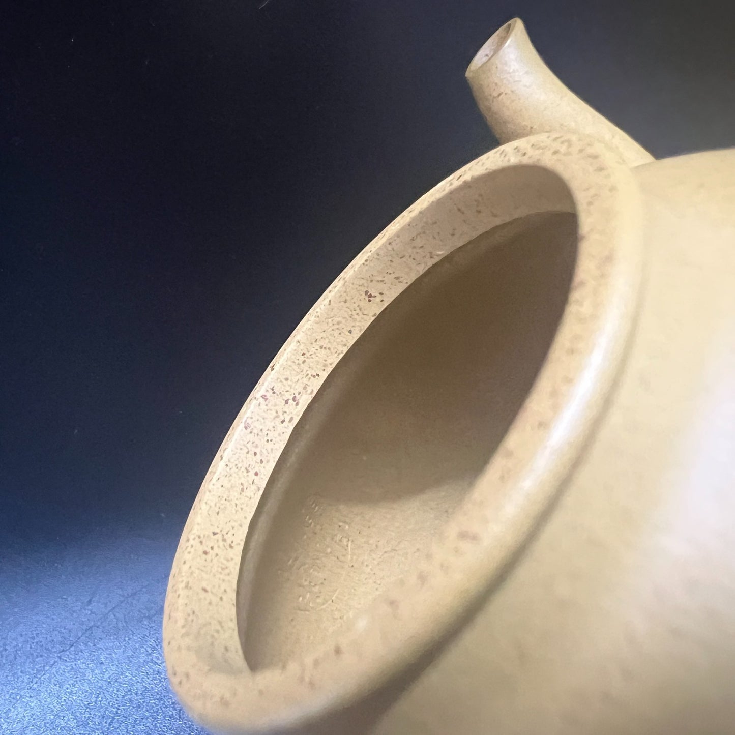 170cc chinese Yixing Handmade Zisha teapot Duan Clay ChunQiu Hu Gongfu Tea Pot