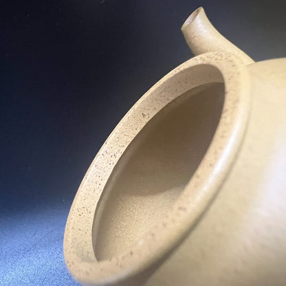 170cc chinese Yixing Handmade Zisha teapot Duan Clay ChunQiu Hu Gongfu Tea Pot